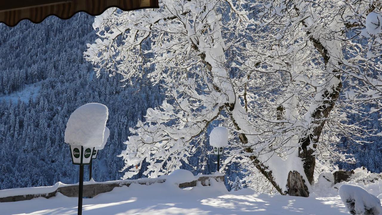 Gasthof Lamprechtbauer ケットシャッハ＝マウテン エクステリア 写真